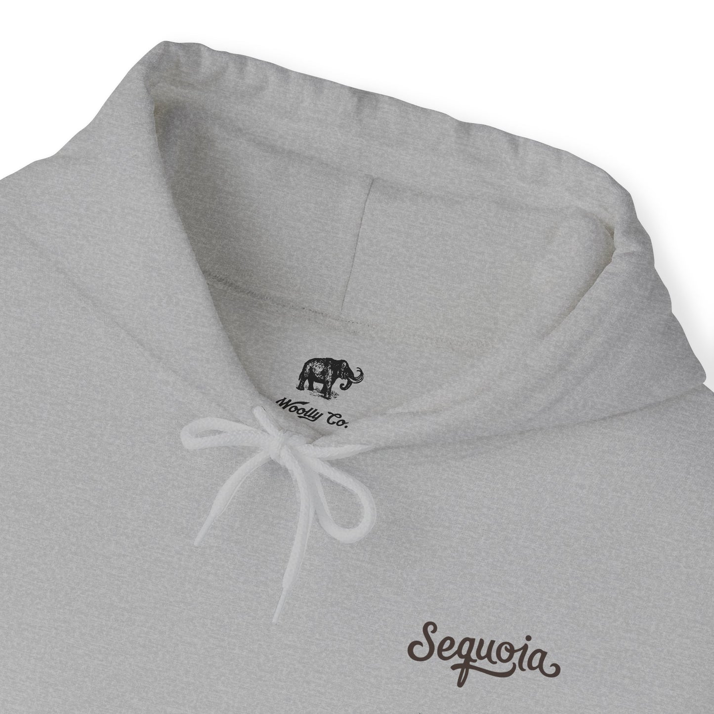 Sequoia National Park Hoodie