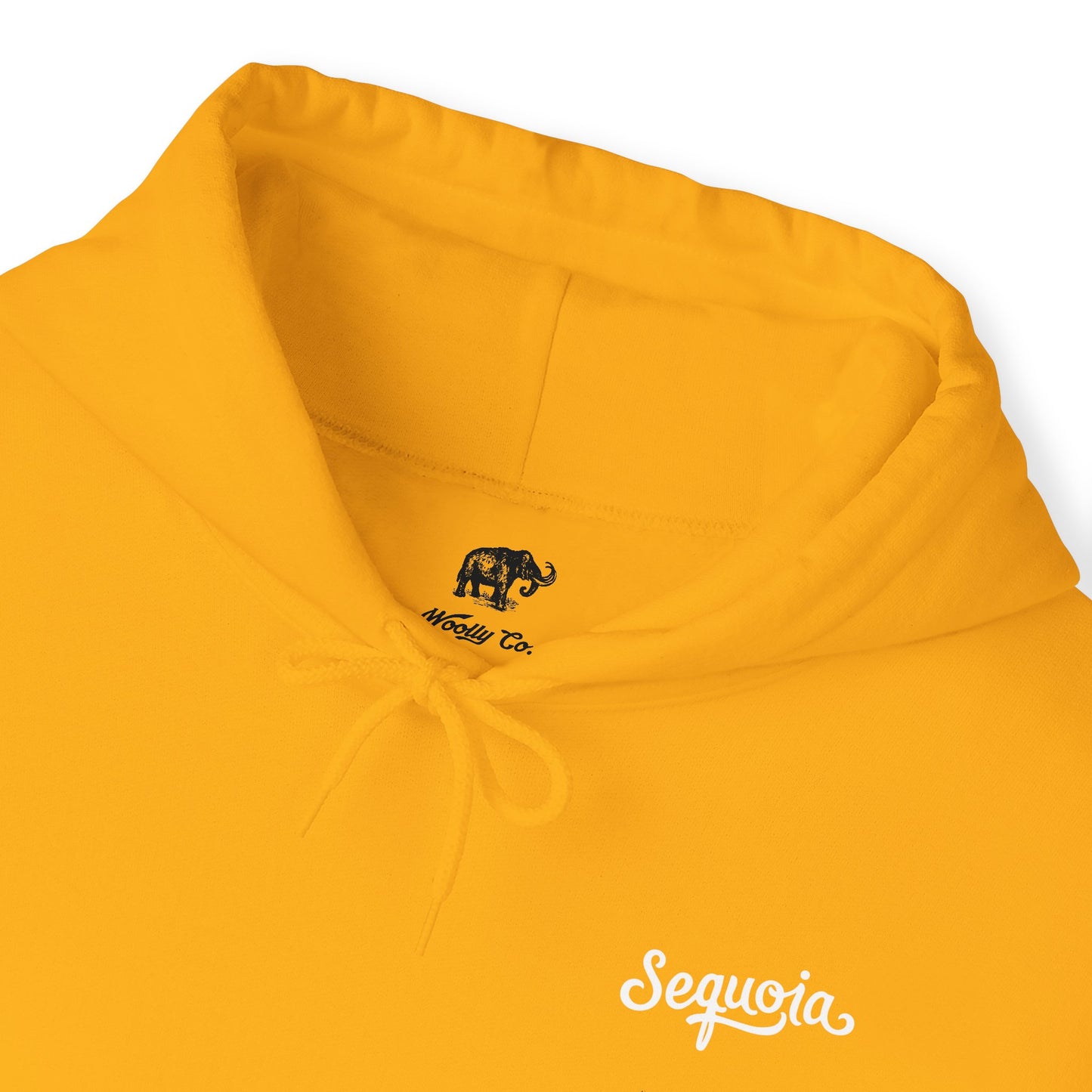 Sequoia National Park Hoodie