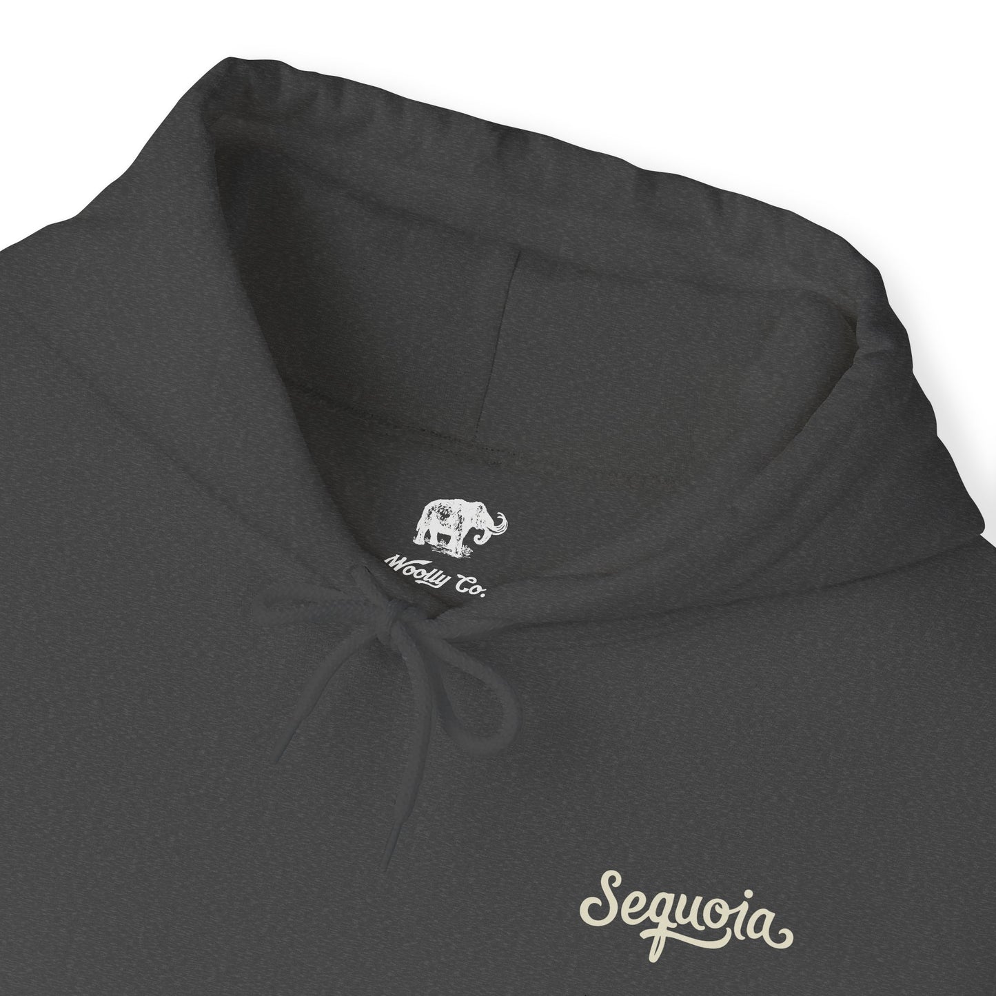 Sequoia National Park Hoodie